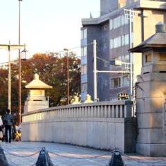 投稿日:2014年11月24日 写真