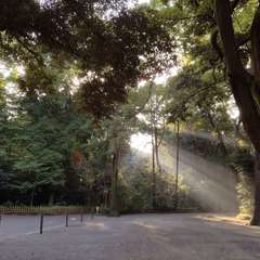 投稿日:2022年7月20日 写真