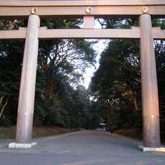 投稿日:2025年1月14日 写真