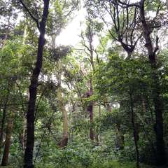 投稿日:2022年6月10日 写真