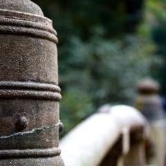 投稿日:2014年11月24日 写真