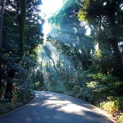 投稿日:2014年11月25日 写真