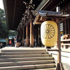 投稿日:2014年11月24日 写真