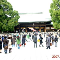 投稿日:2025年8月14日 写真
