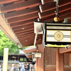 投稿日:2025年10月9日 写真