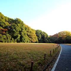 投稿日:2014年11月25日 写真