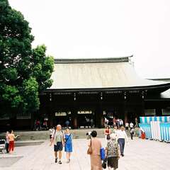 投稿日:2025年9月5日 写真