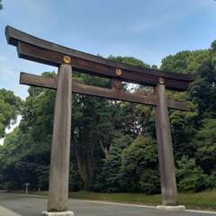 投稿日:2022年7月20日 写真