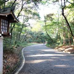 投稿日:2014年11月25日 写真