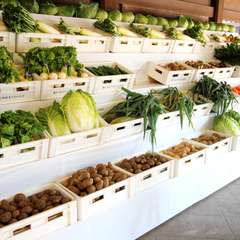 投稿日:2014年11月24日 写真