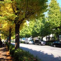 投稿日:2014年11月25日 写真