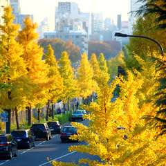 投稿日:2014年11月25日 写真