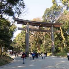 投稿日:2022年10月31日 写真