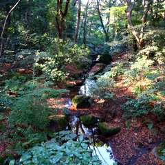 投稿日:2014年11月24日 写真