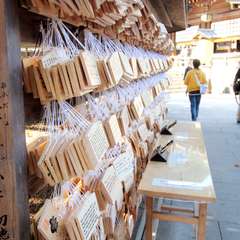 投稿日:2014年11月25日 写真