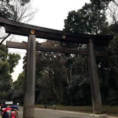 投稿日:2018年2月21日 写真