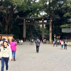 投稿日:2016年12月26日 写真