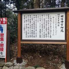 投稿日:2021年12月31日 写真