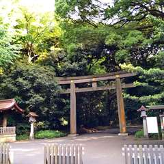 投稿日:2022年6月10日 写真