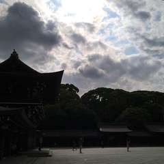 投稿日:2022年6月10日 写真