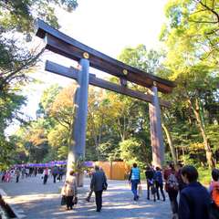 投稿日:2014年11月24日 写真