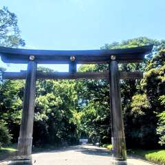 投稿日:2025年8月6日 写真