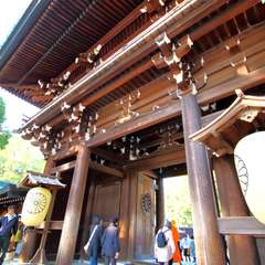 投稿日:2014年11月24日 写真