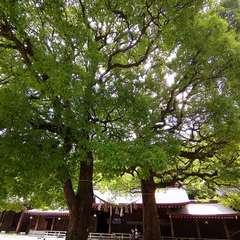 投稿日:2022年6月10日 写真