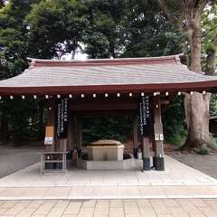 投稿日:2022年6月10日 写真