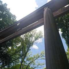 投稿日:2022年5月7日 写真