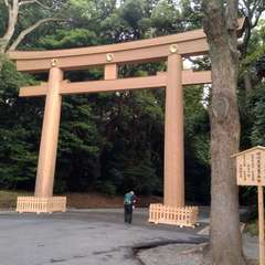 投稿日:2022年7月20日 写真