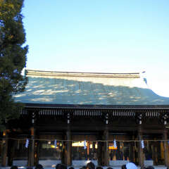 投稿日:2025年7月26日 写真