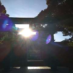 投稿日:2022年7月31日 写真