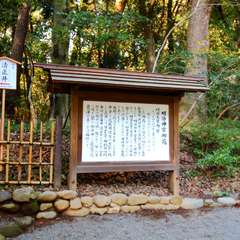 投稿日:2014年11月24日 写真