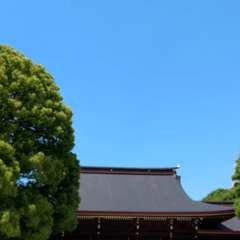 投稿日:2019年5月23日 写真