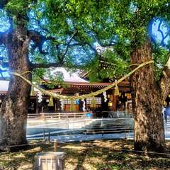 投稿日:2025年8月6日 写真