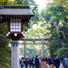 投稿日:2014年11月24日 写真