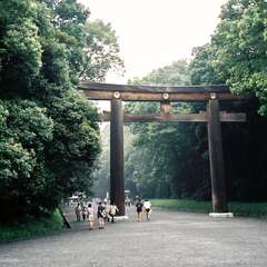投稿日:2025年9月5日 写真