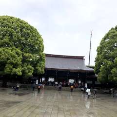 投稿日:2025年5月3日 写真