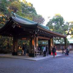 投稿日:2014年11月24日 写真