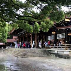 投稿日:2025年5月3日 写真