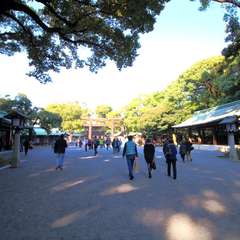 投稿日:2014年11月24日 写真