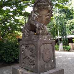 投稿日:2022年6月13日 写真