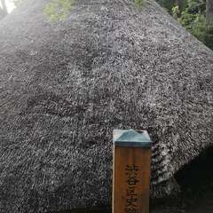 投稿日:2020年7月19日 写真