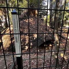 投稿日:2024年1月27日 写真