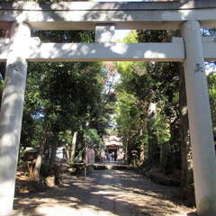 投稿日:2021年11月29日 写真