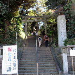 投稿日:2021年11月29日 写真