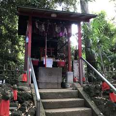 投稿日:2019年5月18日 写真