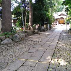 投稿日:2022年6月13日 写真