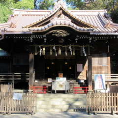 投稿日:2021年11月29日 写真